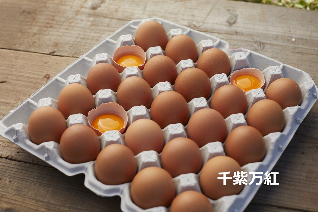千紫万紅